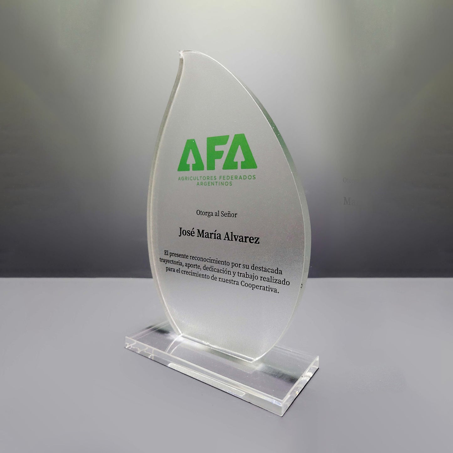 Acrylic Trophy Award (Wood Base)
